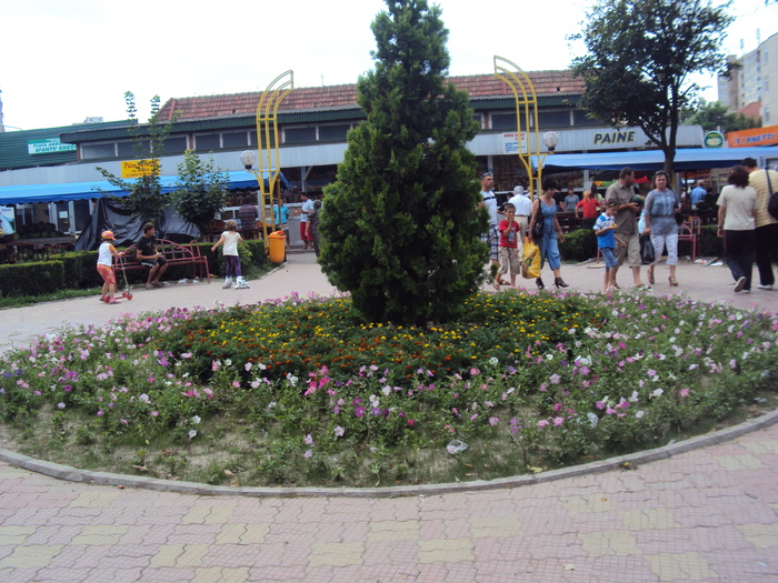 DSC03474 - orasul de la portile Deltei