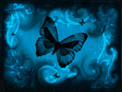 Blk-Butterfly-Blue-Cute[1] - butterfly