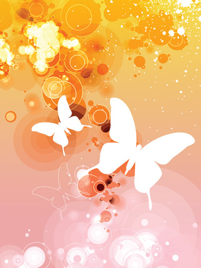 butterfly-default-orange-white[1] - butterfly