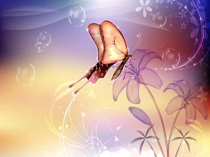 Drawn_wallpapers_Butterfly_on_a_flo[1]