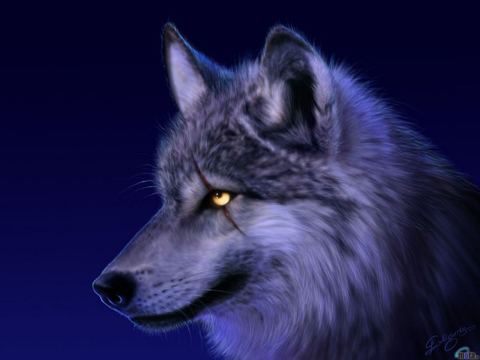 Wolf_moonshine_eyes - lupi