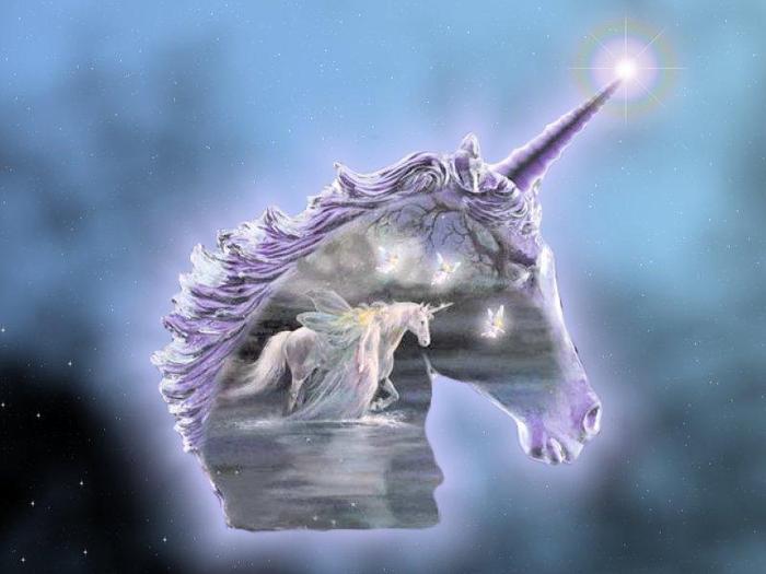 unicorn8 - unicorni