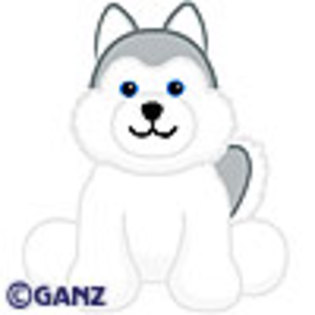 husky - webkinz