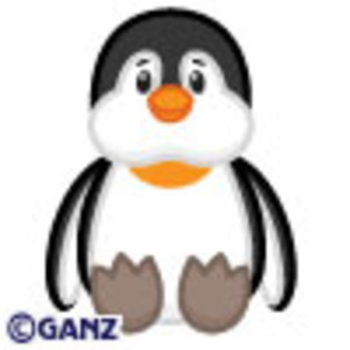 Penguin - webkinz