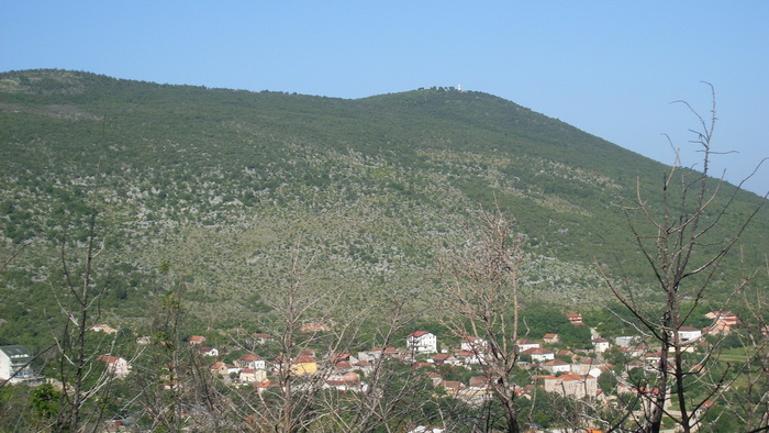 17.06.2010 (27) - MEDUGORJE-BOSNIA