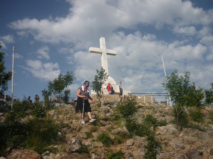 18.VI.2010 (19)