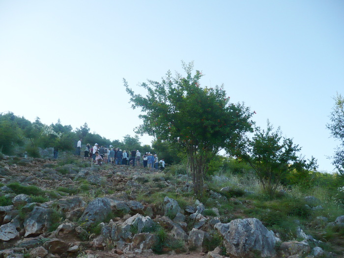 P1050125