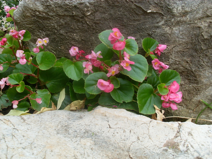 20.06.2010 (76)
