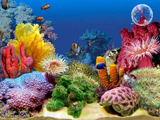 3D_Tropical_Fish_Aquarium_Scene_2_1