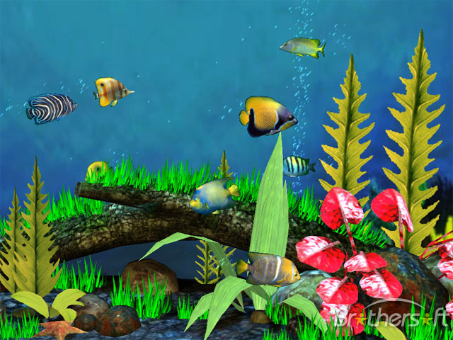 fish_aquarium_3d_screensaver-39095-1 - pesti