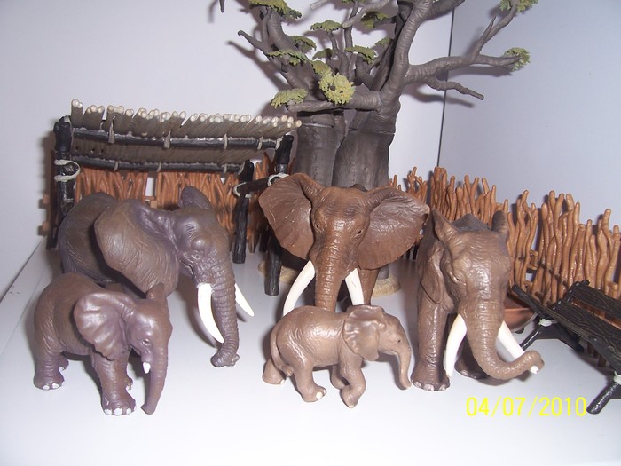 elefanti africani schleich