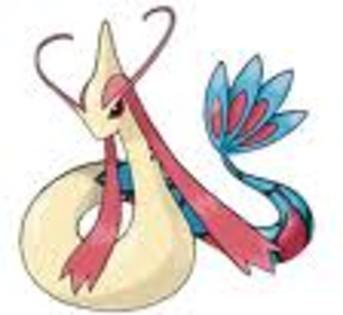 un milotic - concurs pokemon incheiat