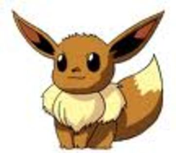 evee! - concurs pokemon incheiat