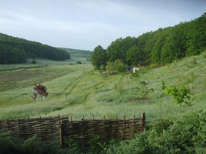  - pecuit balta un colt de rai Bulzesti