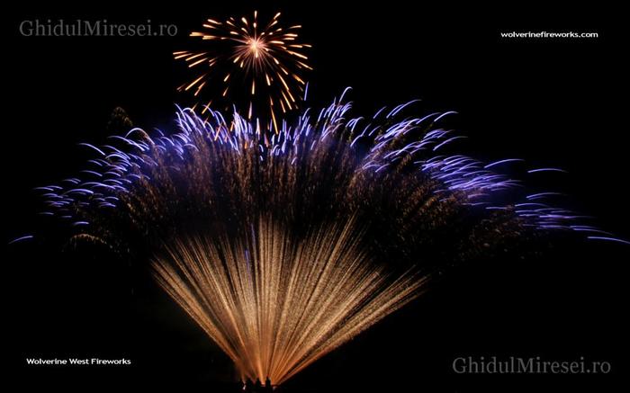 artificiiconstantas5aajgsxz8