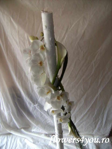 lumanare%20cununie%20nunta%20din%20phalaenopsis%20si%20cale - aLbUm SeCrEt