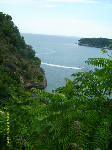 DSCI7304 - 2010_Corfu_20-29-06-b