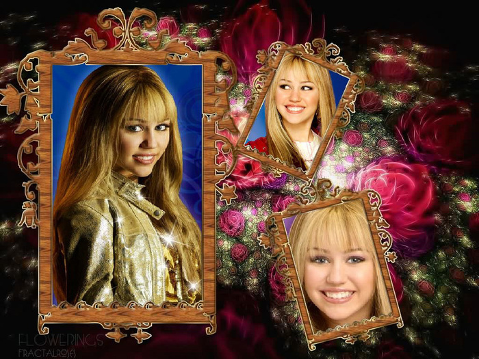 hannah-montana-3-hannah-montana-12119723-1024-768[1]