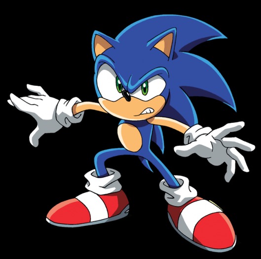 Sonic_X_1237475446_0_2003 - sonic x