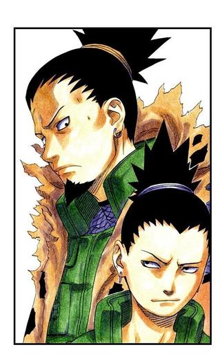 Naruto_1250756304_1_20023554865445