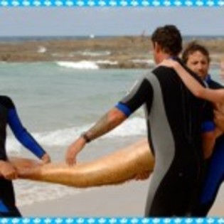 h2o-just-add-water-3-150x150