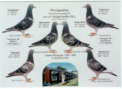 Geerdink4 - crescatori celebri