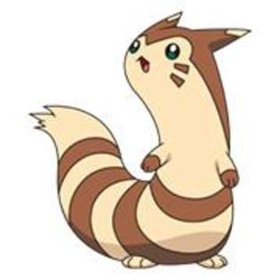 7CZERJKSV98OJF2W5N1KT3N93 - pokemon
