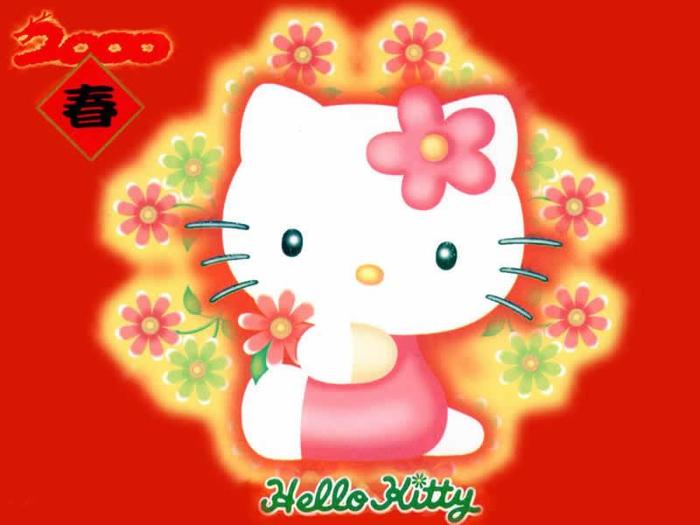 hello-kitty-wallpaper-hello-kitty-picture-free-hello-kitty-wallpaper-downloads_800x600[1] - Hello Kitty Wallpapers