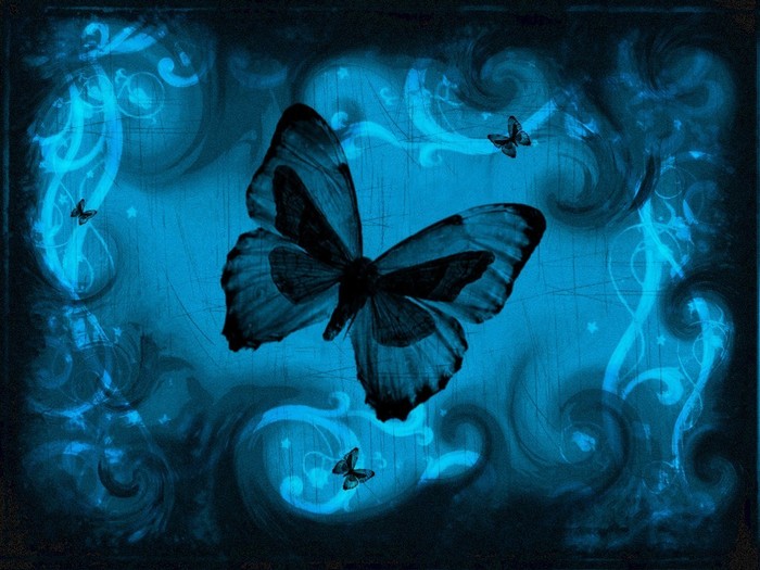 blue-butterfly-aqua-black - fluturi