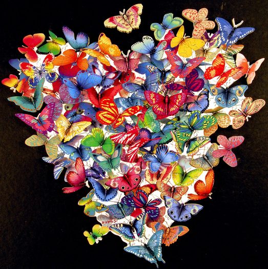 butterfly-jigsaw-puzzle-1A - fluturi