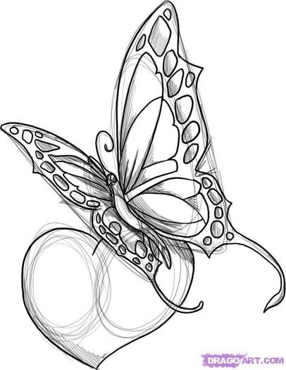 how-to-draw-a-butterfly-design-step-5