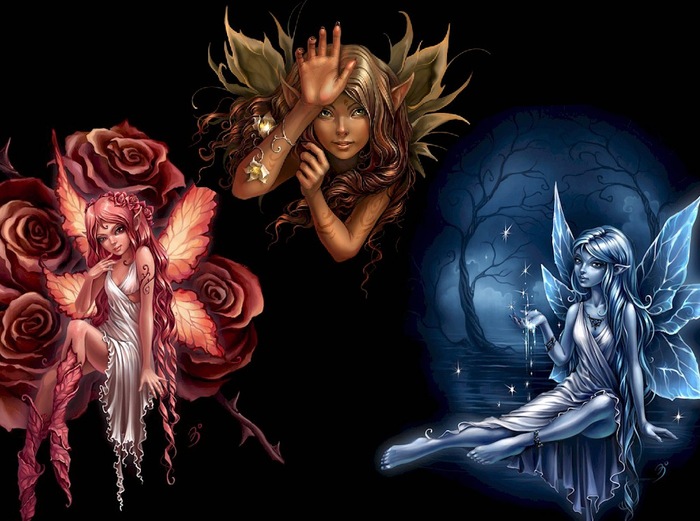 the-fairies-magical-rose - zane