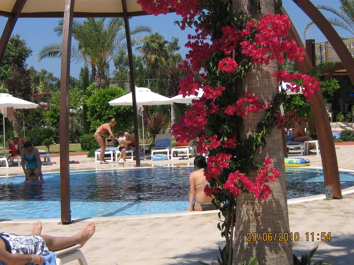 IMG_0139 - 2010 - Alania Turcia