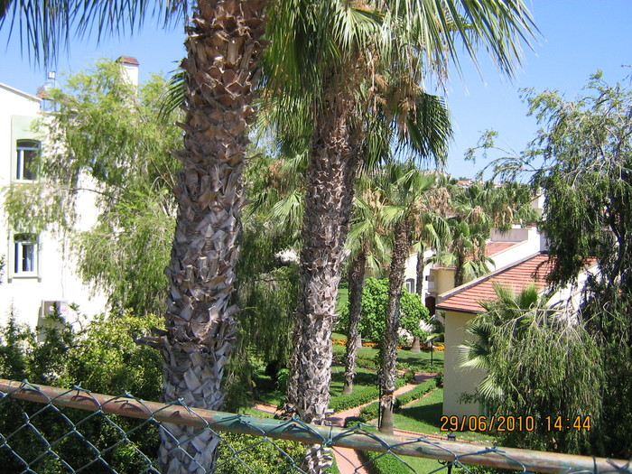 IMG_0162 - 2010 - Alania Turcia