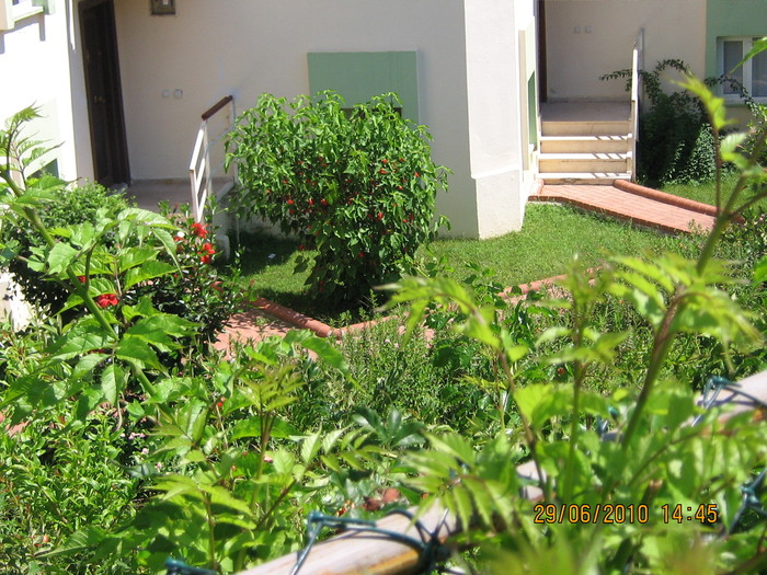 IMG_0164 - 2010 - Alania Turcia