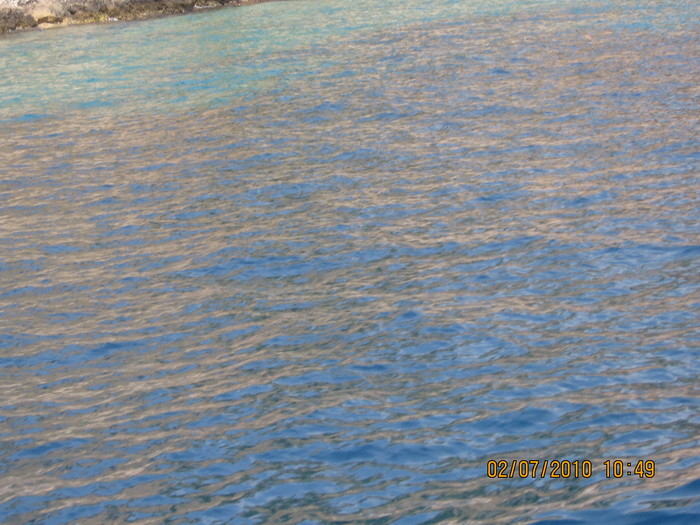 IMG_0233 - 2010 - Alania Turcia