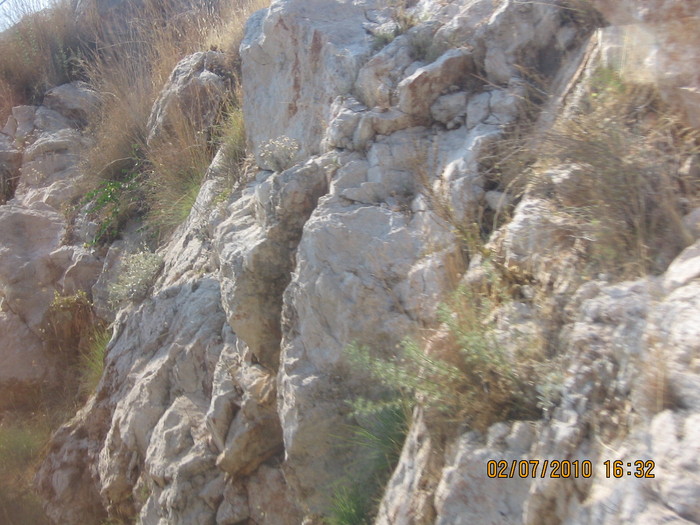 IMG_0316 - 2010 - Alania Turcia