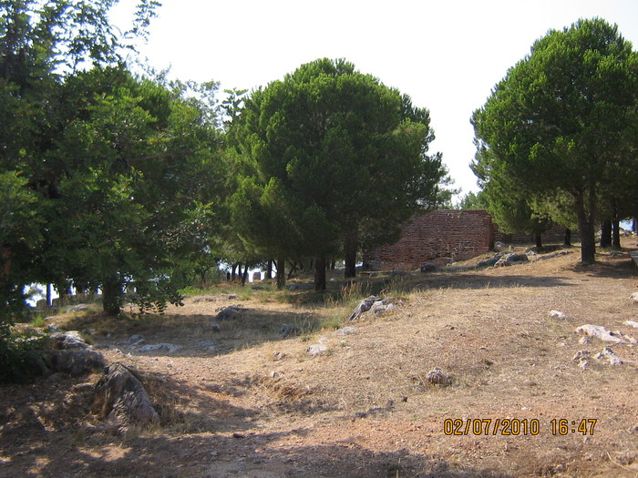 IMG_0327 - 2010 - Alania Turcia