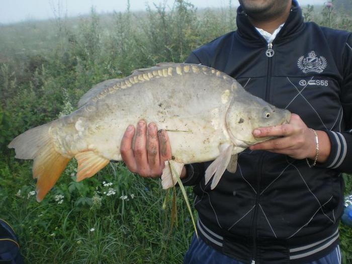 crap 4 kg - La pescuit