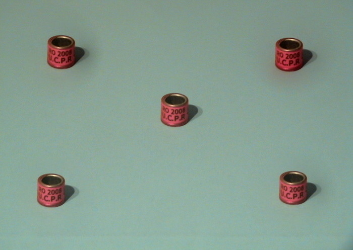 ro u.c.p.r. 2008 - colectie inele