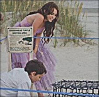 17157146_KEGTXHLLK