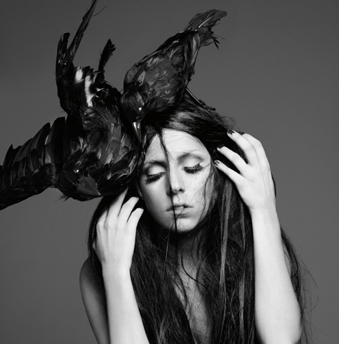 4f39612d-0734-444d-9dbf-0493332fa292 - xoxo-Fame monster-xoxo