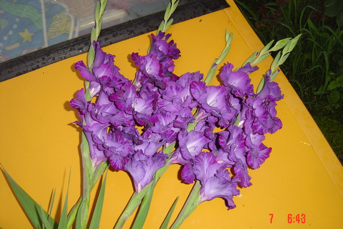 poze noi 621