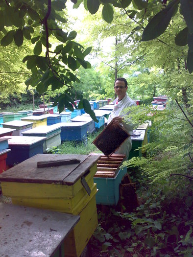 Imagini din stupina2010 - Zum-Zum-Albinuta