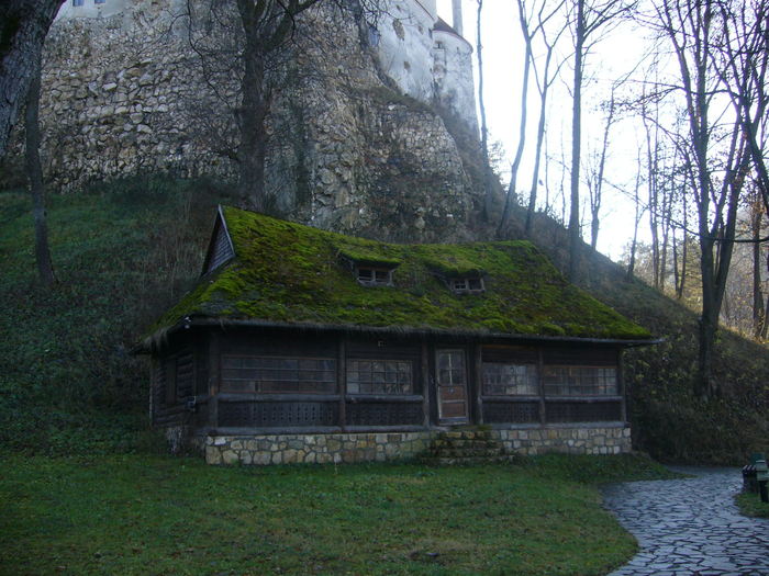 P1010505 - Castelul Bran