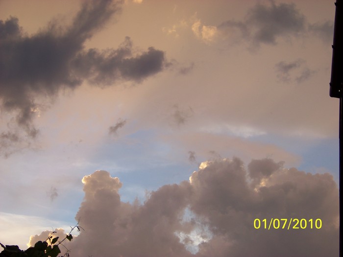 100_4359 - 8 iulie 2010 Fotografii