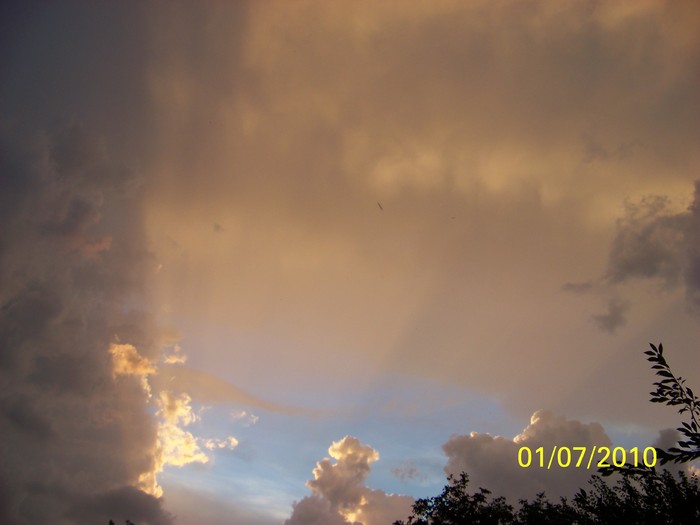 100_4370 - 8 iulie 2010 Fotografii