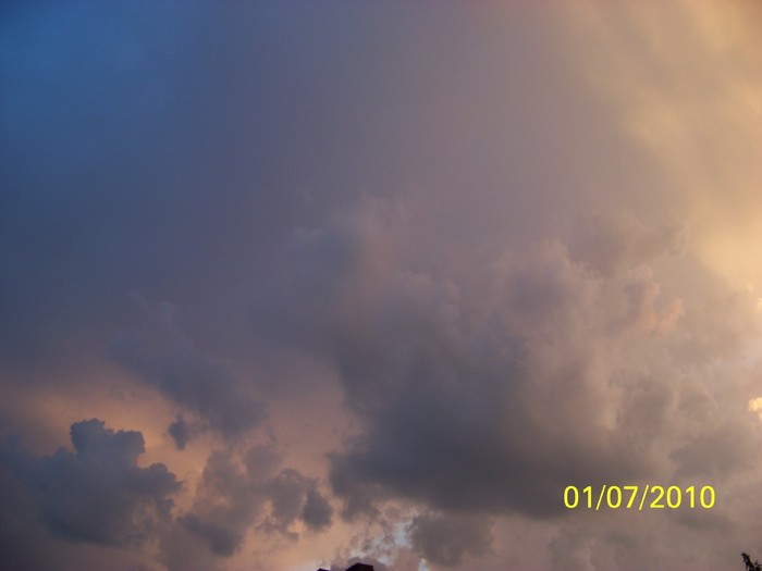 100_4371 - 8 iulie 2010 Fotografii