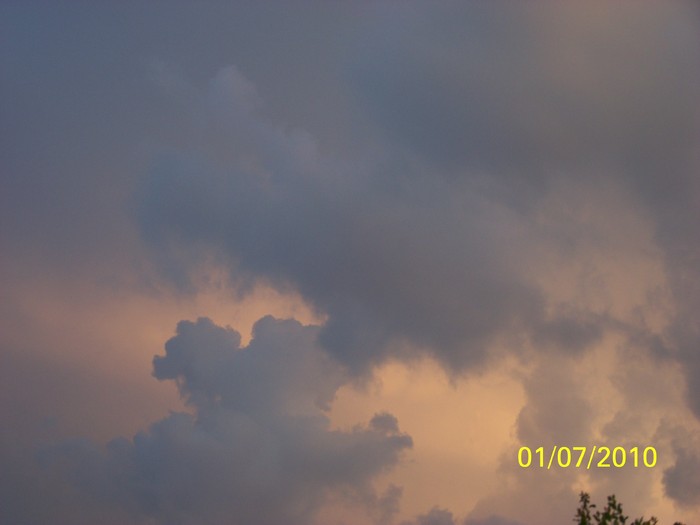 100_4375 - 8 iulie 2010 Fotografii