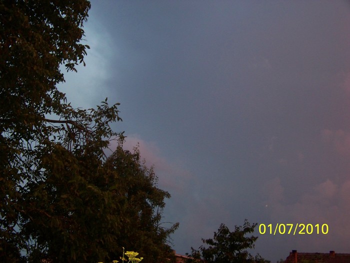 100_4387 - 8 iulie 2010 Fotografii